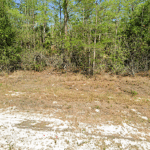 Naples 2.85-Acre Vacant Lot, Homes for Sale, Florida, North Carolina