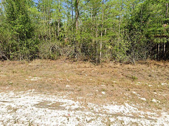 Properties, Homes for Sale, Florida, North Carolina