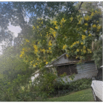 Affordable Fixer in Apopka, Homes for Sale, Florida, North Carolina