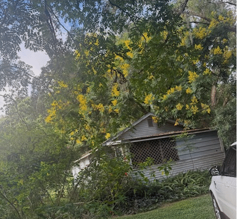 Affordable Fixer in Apopka, Homes for Sale, Florida, North Carolina