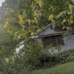 Affordable Fixer in Apopka, Homes for Sale, Florida, North Carolina